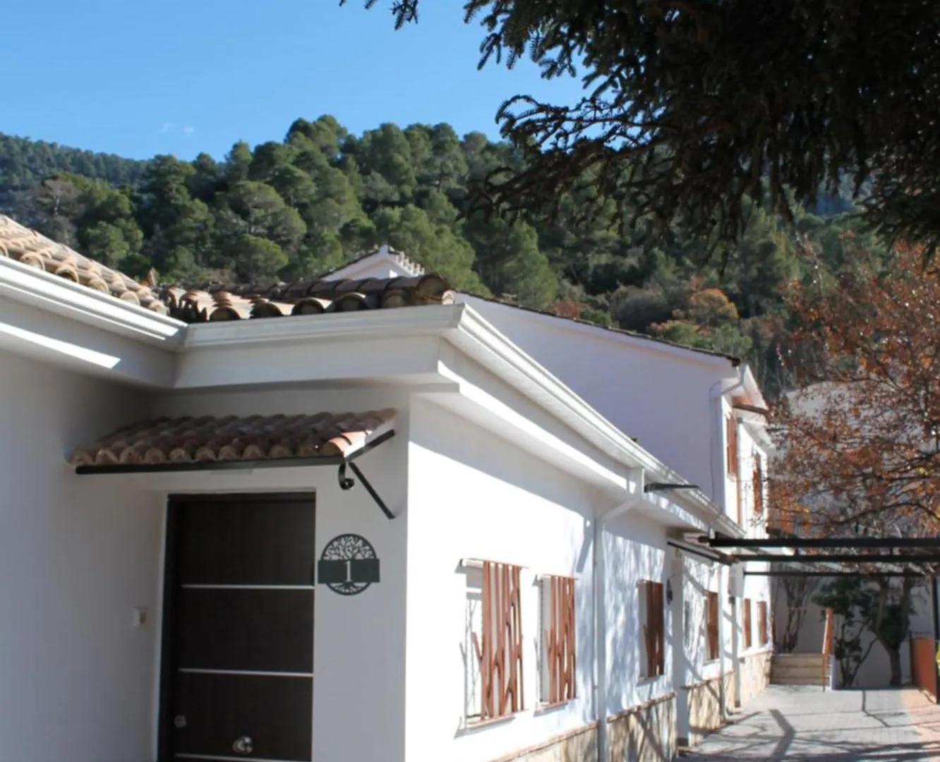 Cazorla Natura - Nuevos 2025 - 6 Apartamentos Turisticos- Arroyo Frio Apartment